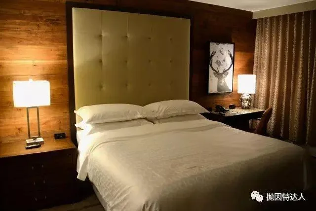 丹佛 Denver | 四月天的红白交织 丹佛 Denver | 四月天的红白交织
