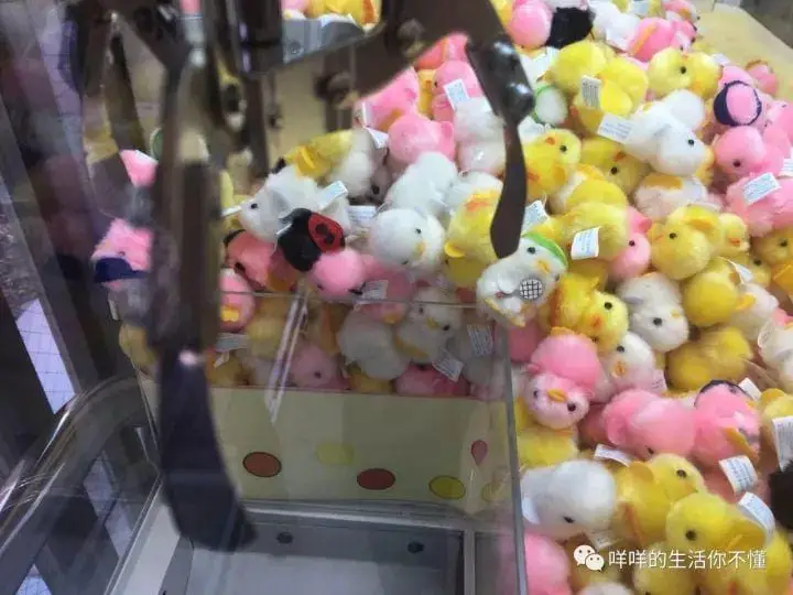 岛国6日游！你猜最吸引我的是AV还是女优？