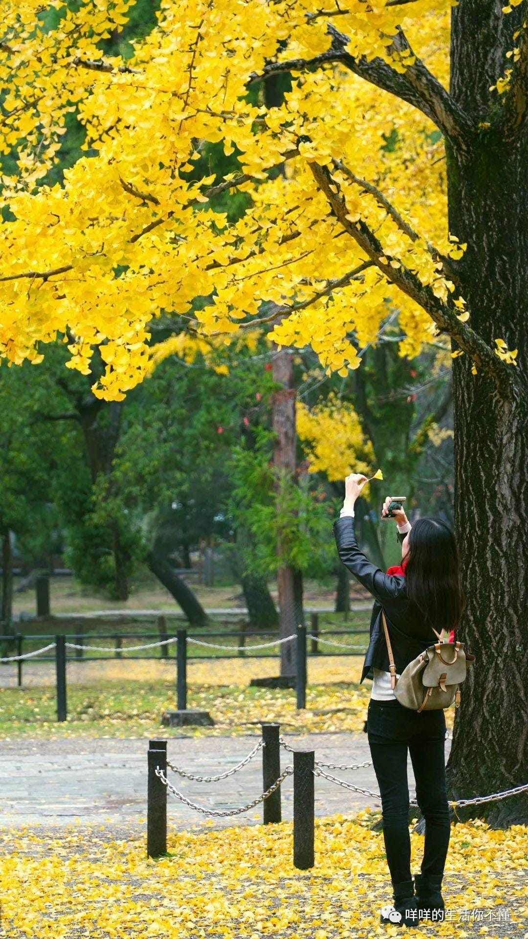 岛国6日游！你猜最吸引我的是AV还是女优？