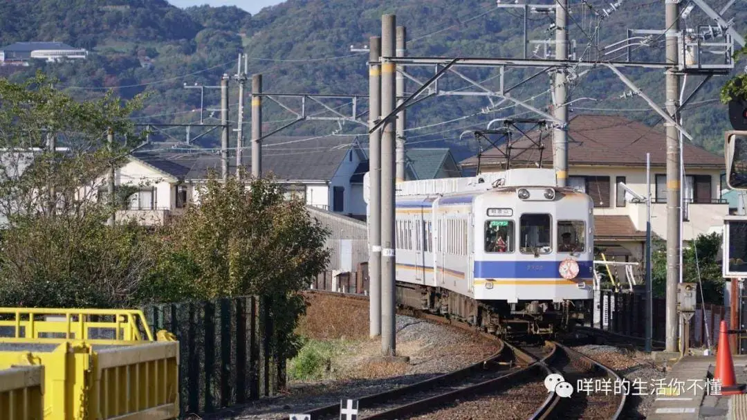 岛国6日游！你猜最吸引我的是AV还是女优？