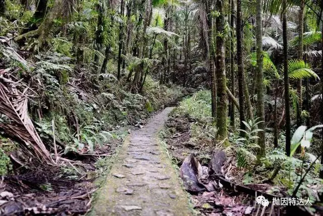 《波多黎各 Puerto Rico | 加勒比海上独一无二的明珠》