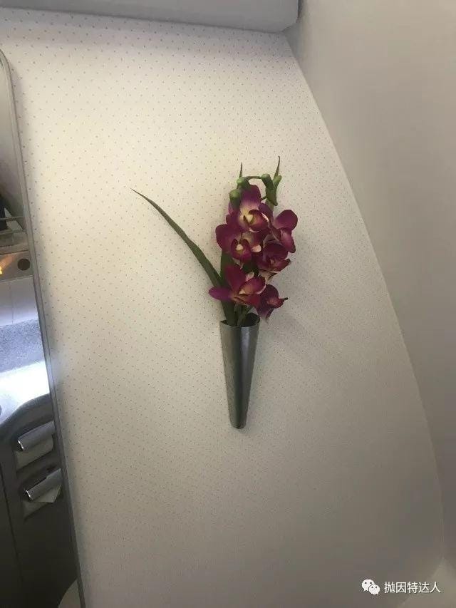 五星级航司全新A330 - 长荣航空HKG - TPE(香港 - 台北)商务舱体验报告 五星级航司全新A330 - 长荣航空HKG - TPE(香港 - 台北)商务舱体验报告