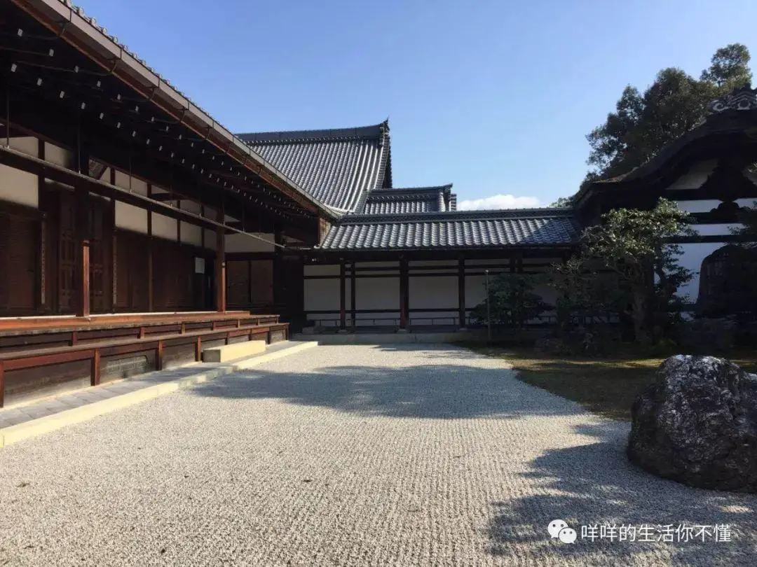 岛国6日游！你猜最吸引我的是AV还是女优？