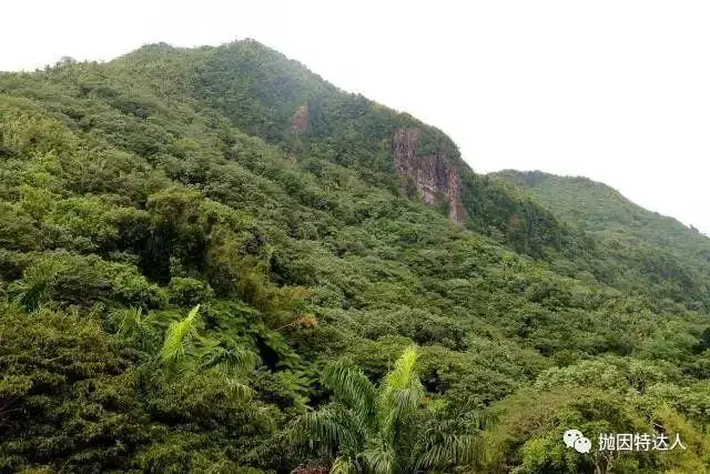 《波多黎各 Puerto Rico | 加勒比海上独一无二的明珠》