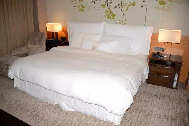 成为最大酒店品牌顶级会员的超级捷径：万豪白金挑战回归啦！