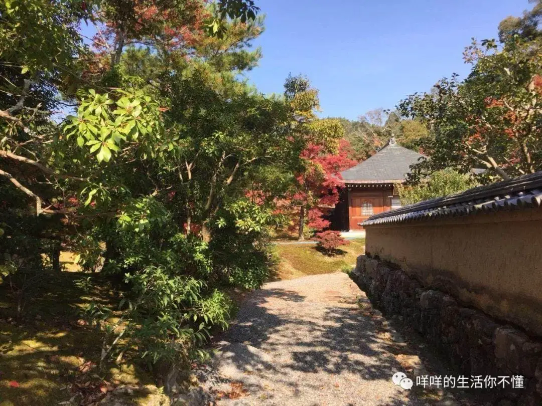 岛国6日游！你猜最吸引我的是AV还是女优？