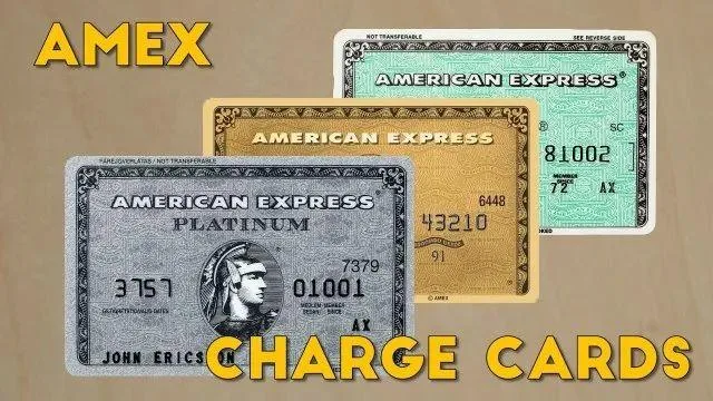 注册即送10000点数奖励 - Amex Extended Payment Option活动