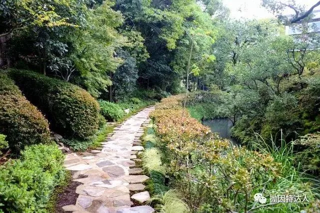 【酒店体验】大概是京都最奢华的酒店 - 京都四季酒店入住体验报告