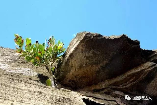 《波多黎各 Puerto Rico | 加勒比海上独一无二的明珠》