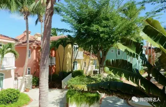 《波多黎各 Las Casitas Village 华尔道夫度假酒店体验》