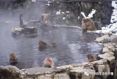 岛国6日游！你猜最吸引我的是AV还是女优？