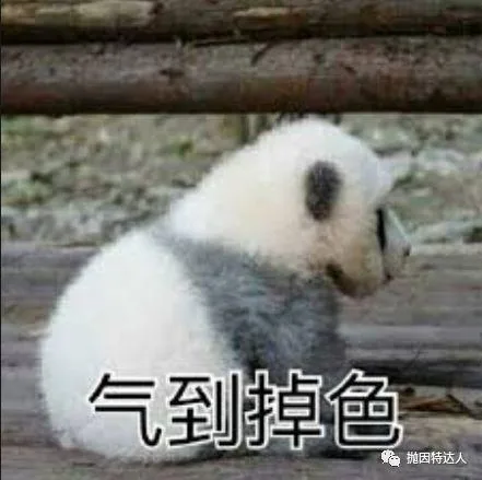 神秘的机票兑换多面手 - 哥伦比亚航空（Avianca LifeMiles）里程指南2.0