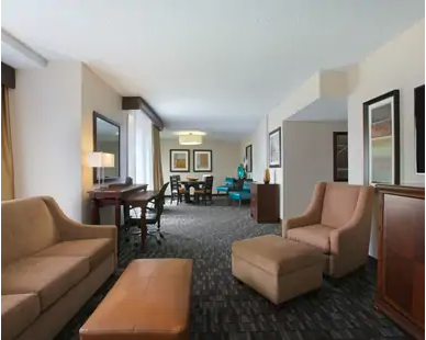 《酒店Bug价 - 200美元左右的新奥尔良双卧室总统套房》