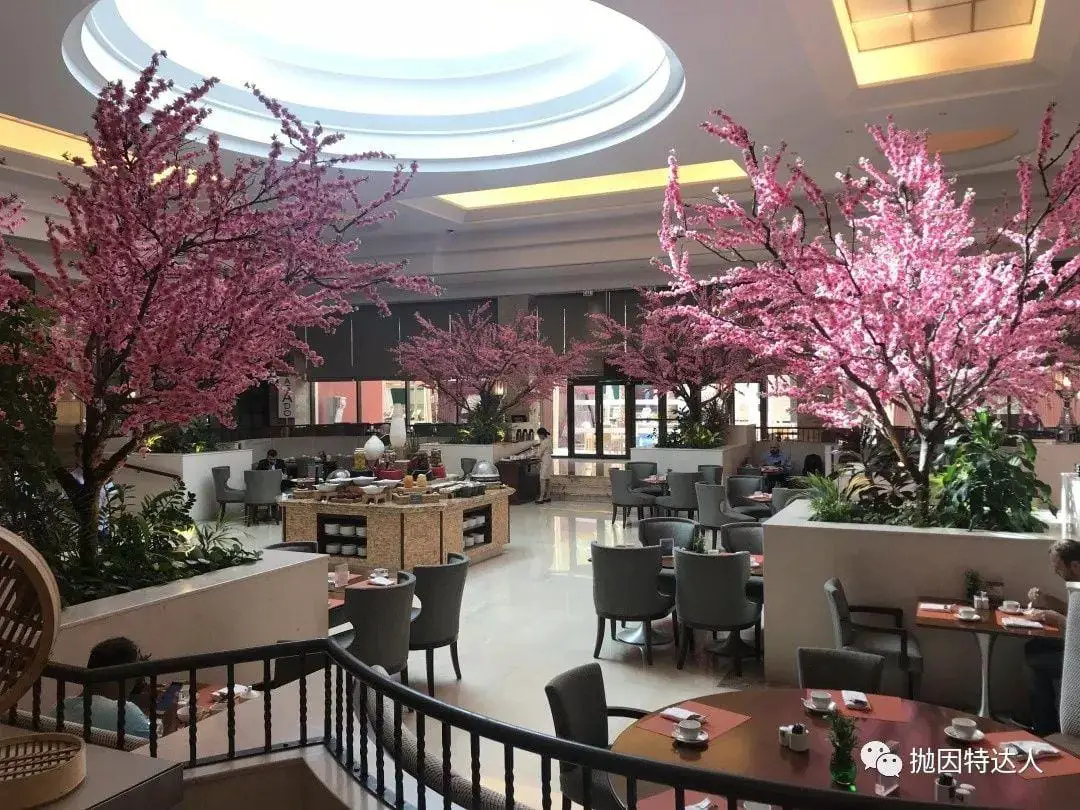 《探索中东神秘土豪国 - 阿曼喜来登酒店（Sheraton Oman）入住体验报告》