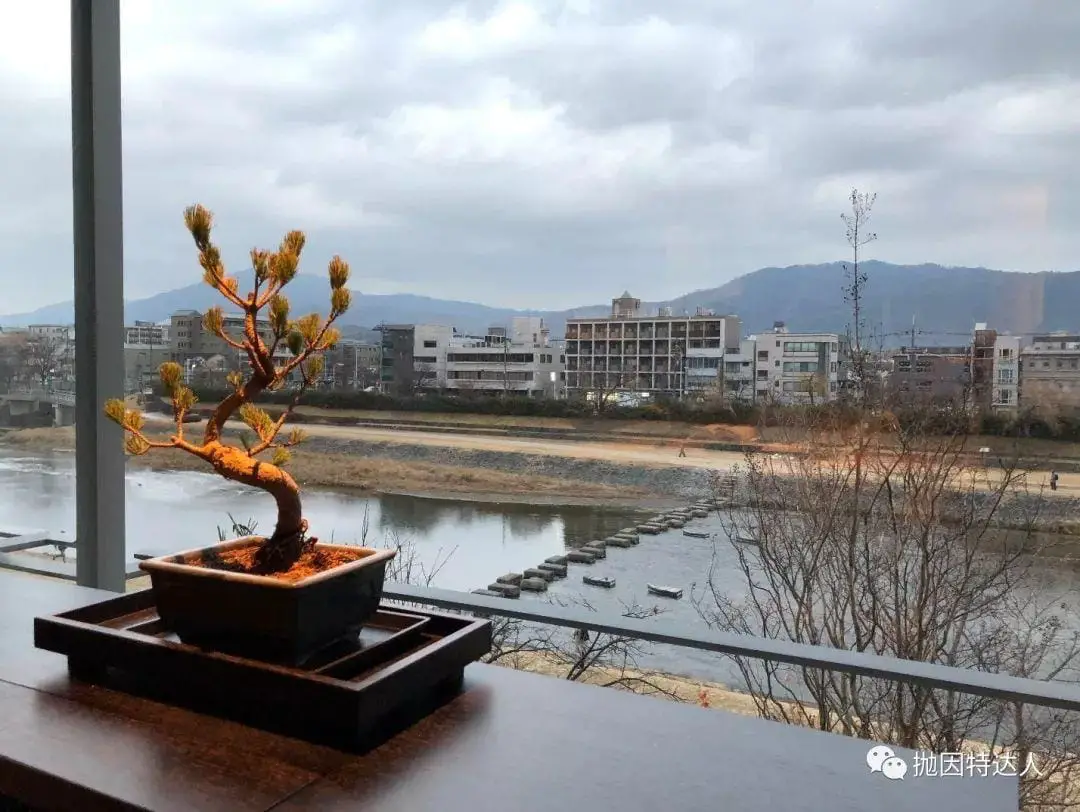 《最强丽思的跨年体验 - 京都丽思卡尔顿酒店入住体验报告》