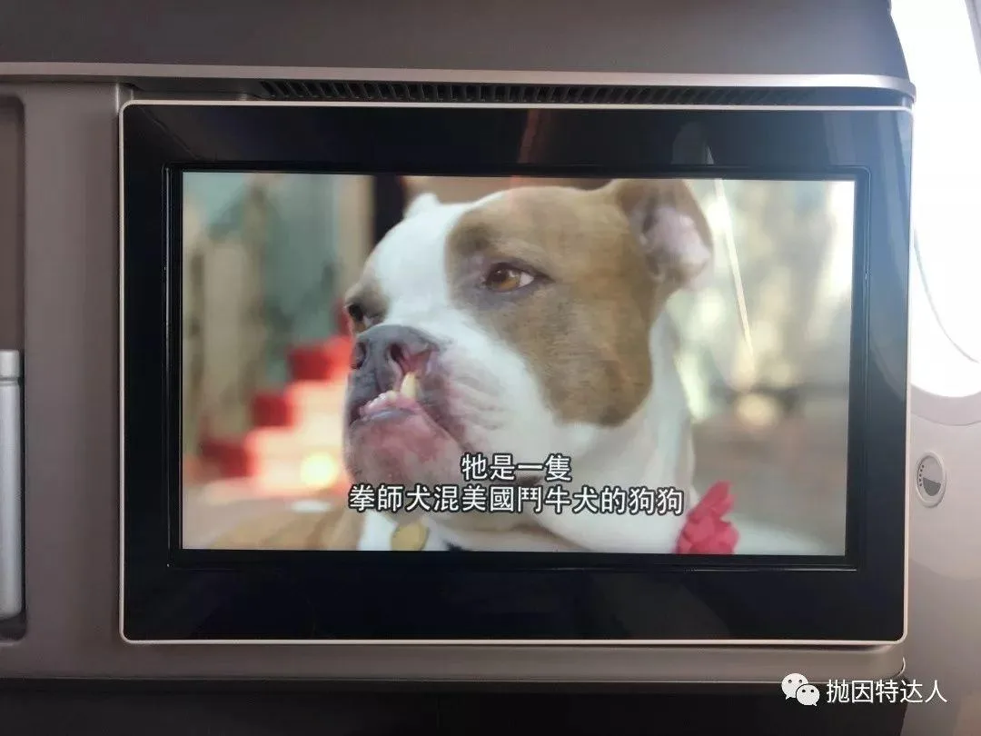 全新机型首发抢鲜体验 - 长荣航空B787-10（台北 - 香港）商务舱体验报告