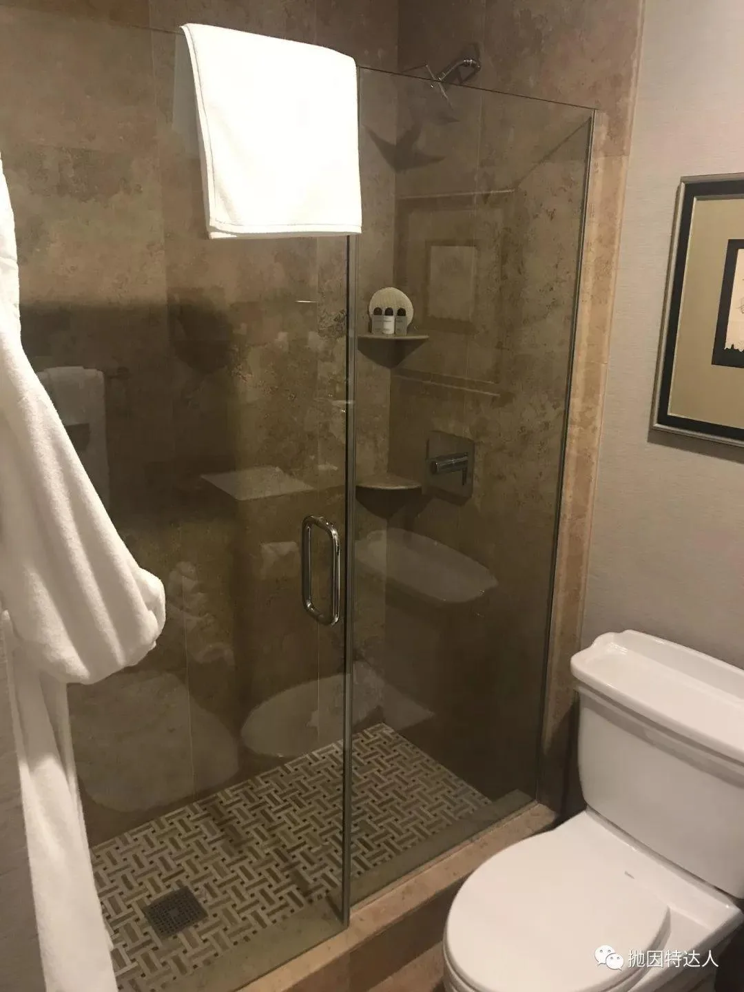 以总统命名的百年历史酒店 - 圣地亚哥美国格兰特豪华精选酒店入住体验