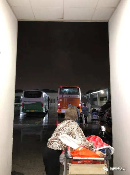 拒绝值机后的化险为夷 - 记录一次惊心动魄的疫情期间回国经历 拒绝值机后的化险为夷 - 记录一次惊心动魄的疫情期间回国经历