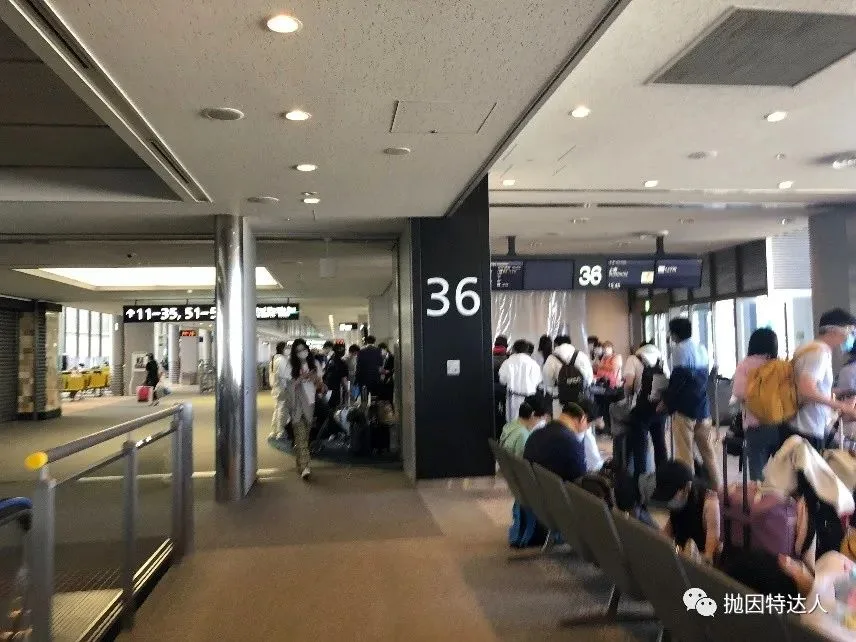 拒绝值机后的化险为夷 - 记录一次惊心动魄的疫情期间回国经历 拒绝值机后的化险为夷 - 记录一次惊心动魄的疫情期间回国经历