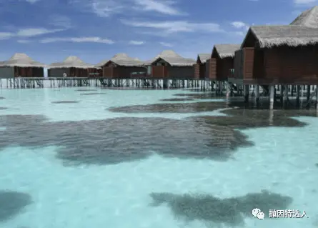 马尔代夫五星级度假酒店水屋一年无限住？！