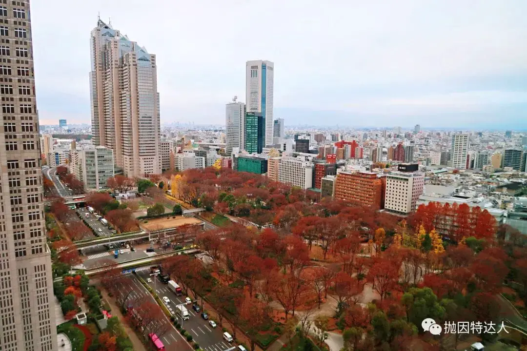 《东京性价比最高的积分房兑换 - 东京凯悦酒店（Hyatt Regency Tokyo）入住体验》