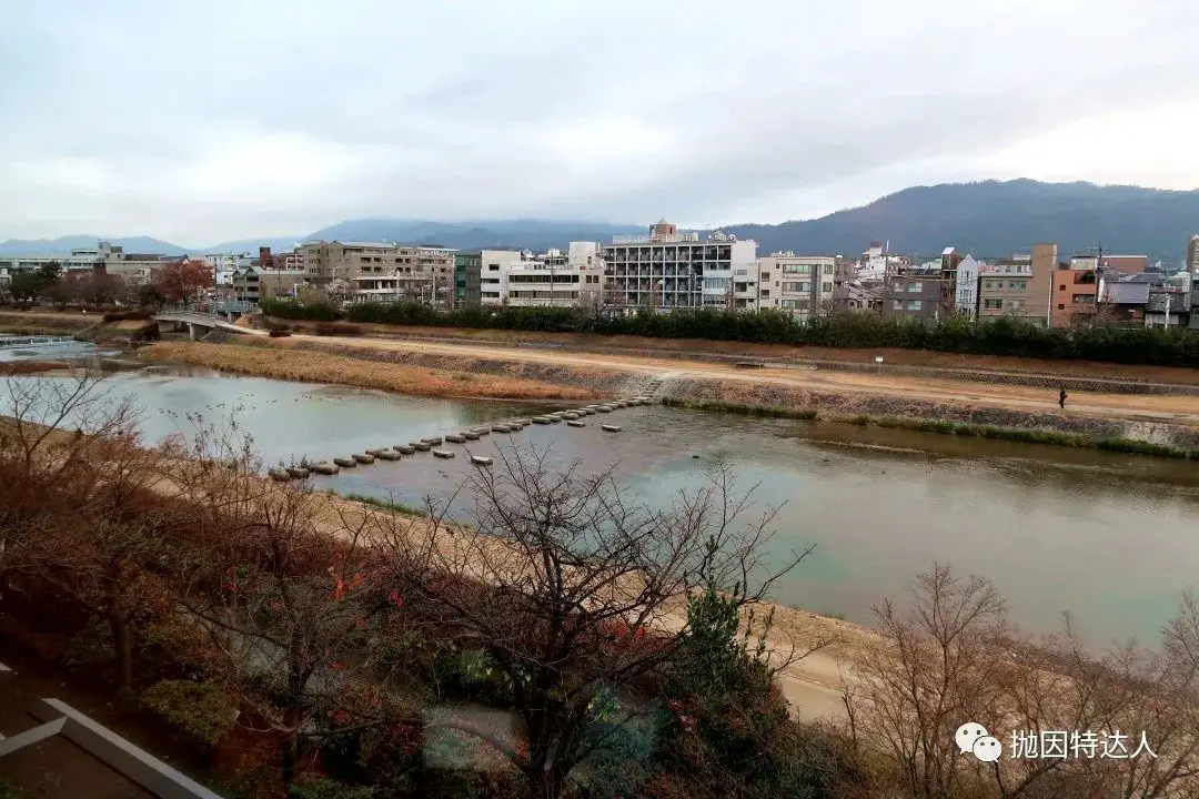 《鸭川畔的极致奢华 - 京都丽思卡尔顿酒店（The Ritz-Carlton, Kyoto）入住体验》