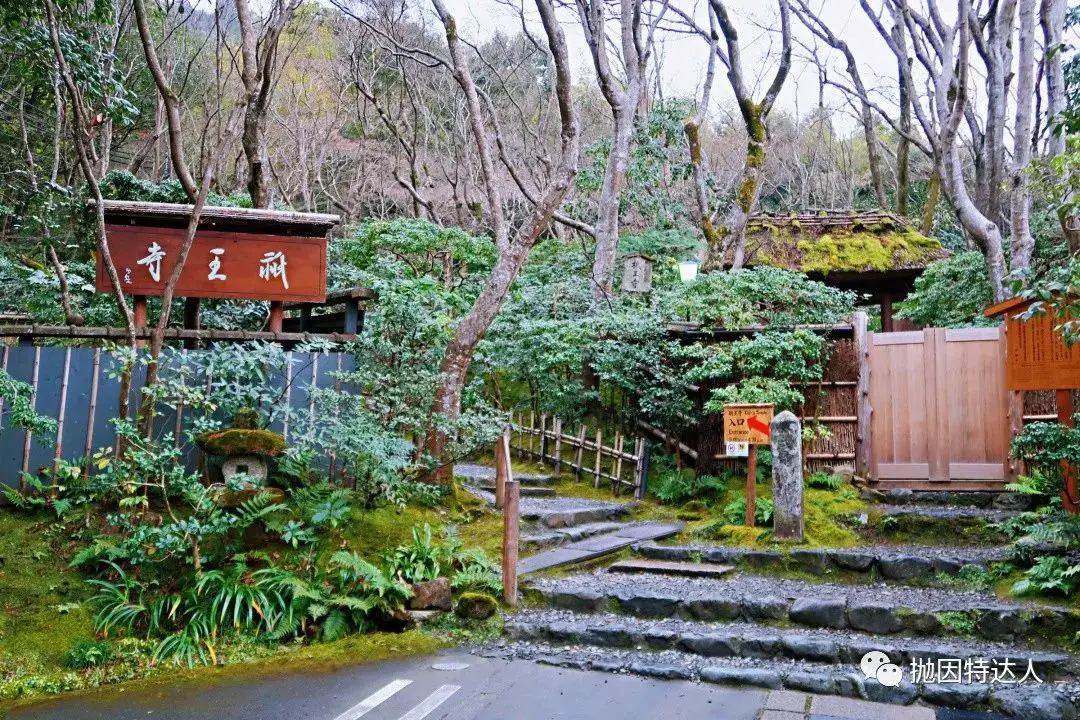 《50万日元一晚的总统套房是什么体验？京都翠岚豪华精选酒店入住体验报告》