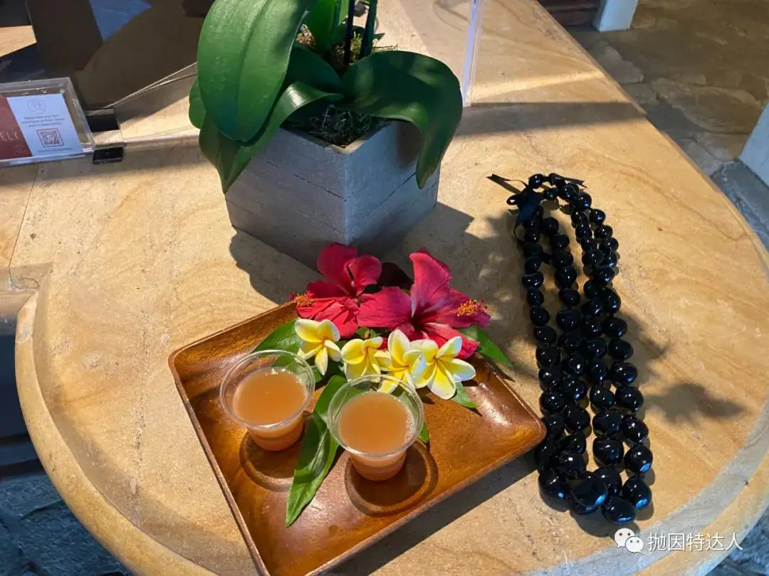 【首发】面朝大海 春暖花开——夏威夷隐世木屋Hana-Maui Resort, A Destination Hotel入住体验 【首发】面朝大海 春暖花开——夏威夷隐世木屋Hana-Maui Resort, A Destination Hotel入住体验