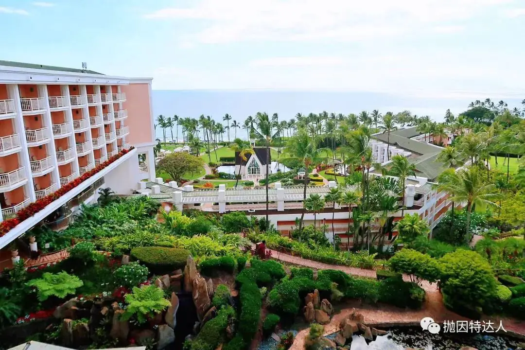 希尔顿将免房券再次延期 希尔顿将免房券再次延期