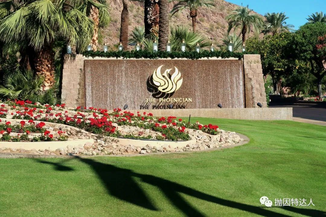 《沙漠凤凰，大气端庄 - The Phoenician, a Luxury Collection Resort入住体验报告》