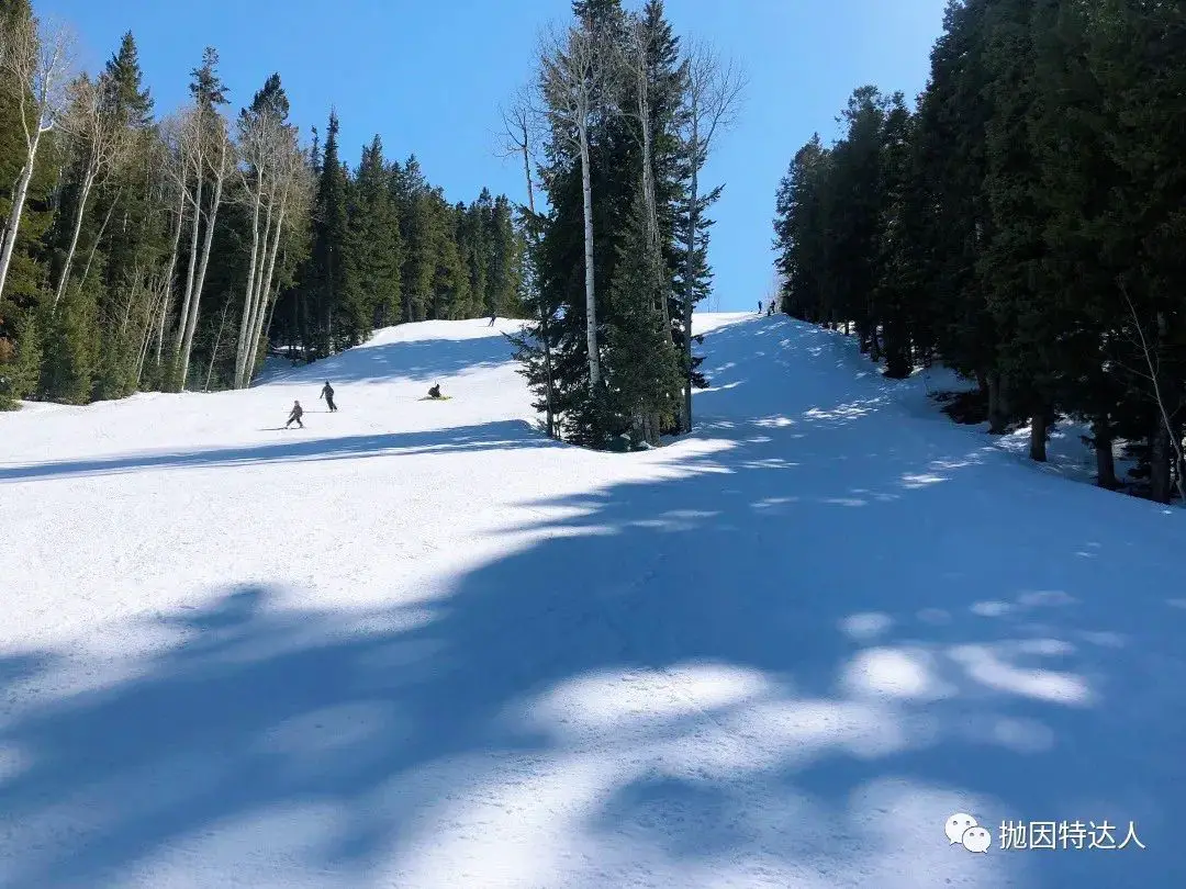 《超顶级Ski-in ski-out滑雪度假酒店 - 鹿谷瑞吉酒店（St Regis Deer Valley）入住体验报告》