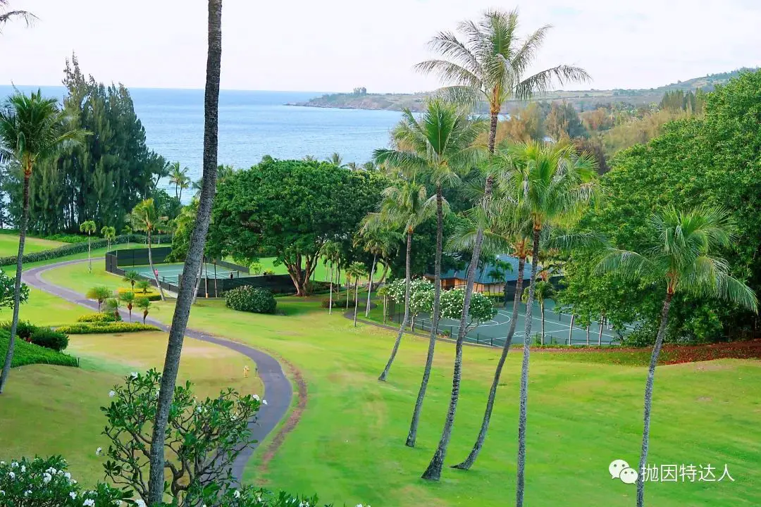 《升套大方，适宜度假 - 夏威夷茂宜岛The Ritz-Carlton Maui, Kapalua入住体验报告》