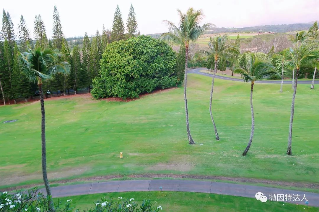 《升套大方，适宜度假 - 夏威夷茂宜岛The Ritz-Carlton Maui, Kapalua入住体验报告》