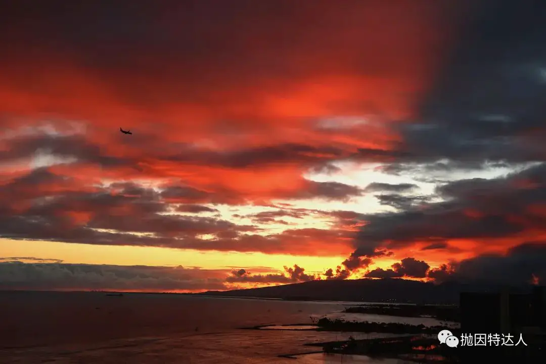 总统套房惊喜升级 - Sheraton Waikiki(夏威夷威基基喜来登酒店)入住体验报告 总统套房惊喜升级 - Sheraton Waikiki(夏威夷威基基喜来登酒店)入住体验报告