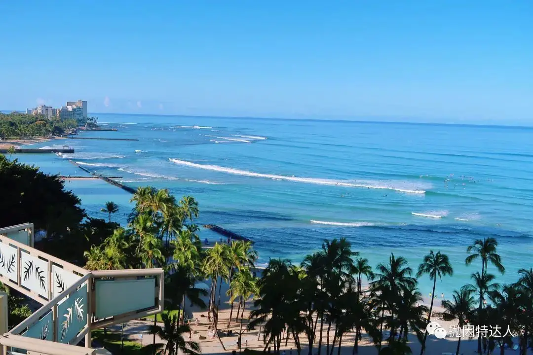 《亡羊补牢，为时不晚 - 夏威夷檀香山Hyatt Regency Waikiki Beach Resort入住体验报告》