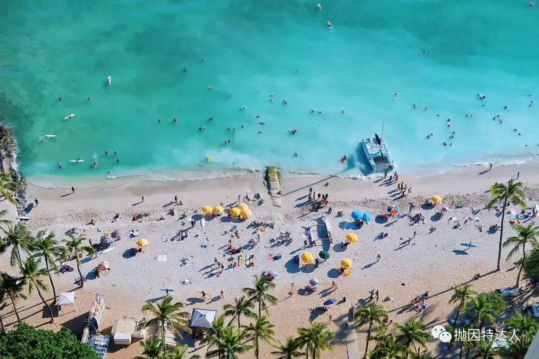 《亡羊补牢，为时不晚 - 夏威夷檀香山Hyatt Regency Waikiki Beach Resort入住体验报告》