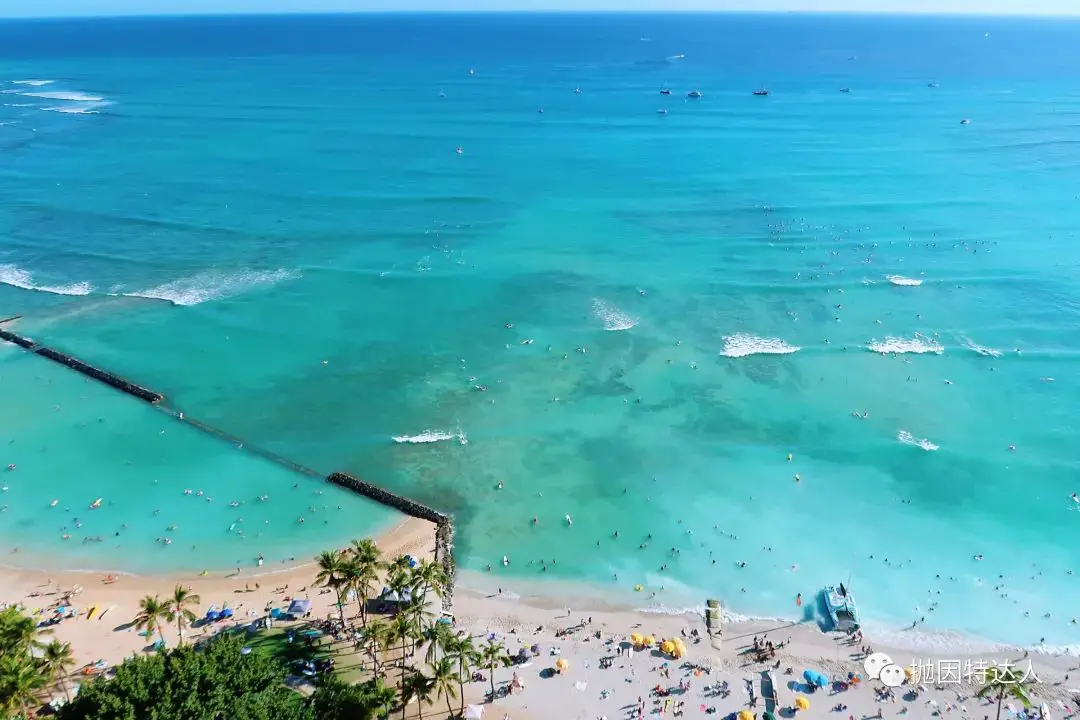 《亡羊补牢，为时不晚 - 夏威夷檀香山Hyatt Regency Waikiki Beach Resort入住体验报告》