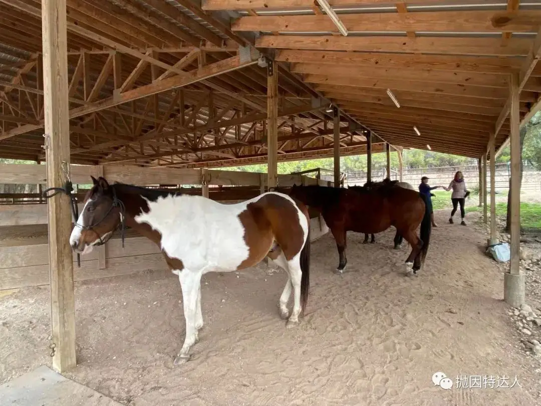 《凯悦旗下最神秘一价全包酒店品牌再度打卡 - Miraval Austin入住体验》