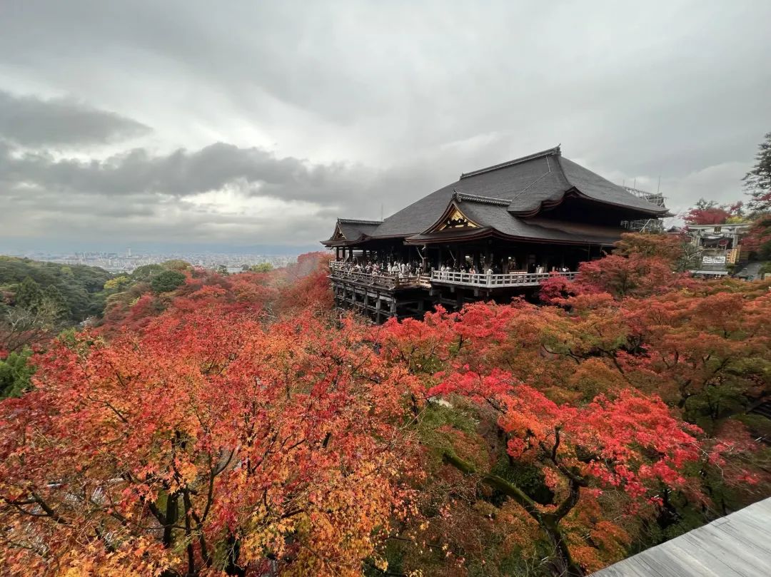 《闹中取静 - 京都柏悦酒店（Park Hyatt Kyoto）入住体验报告》