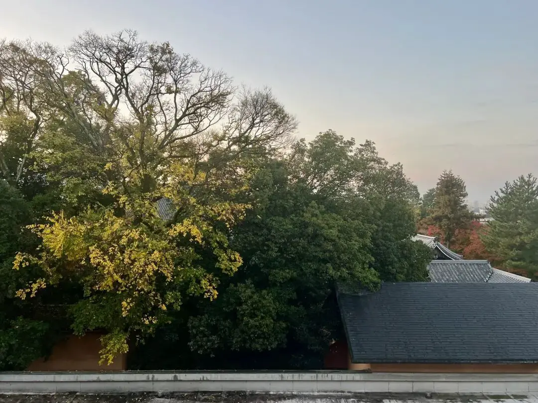 《极致空间利用，日式简约风格，优越地理位置 - 京都凯悦酒店（Hyatt Regency Kyoto）入住体验报告》