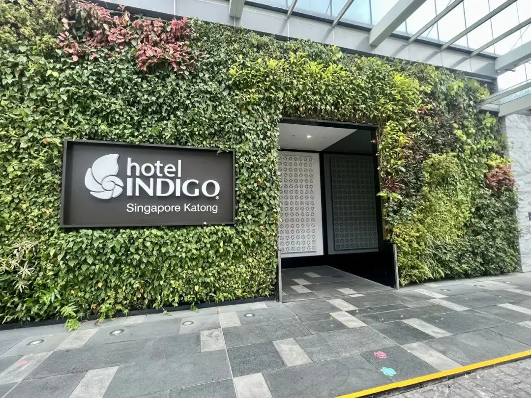 房间里放痰盂+洗脚盆 - 新加坡加东英迪格酒店（Hotel Indigo Singapore Katong）入住体验报告 - 抛因特达人 ...