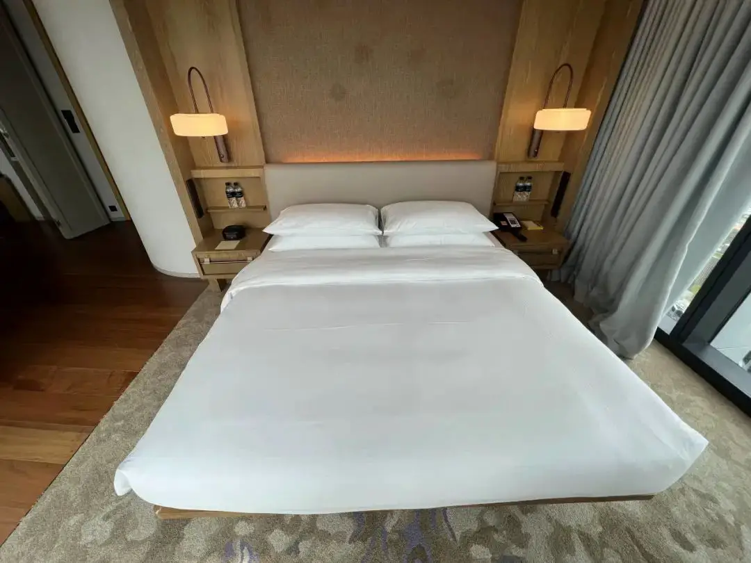 新加坡解锁76平方米超大套房,丰厚礼遇惊喜不断,这家安达仕真心值得打卡 新加坡解锁76平方米超大套房,丰厚礼遇惊喜不断,这家安达仕真心值得打卡