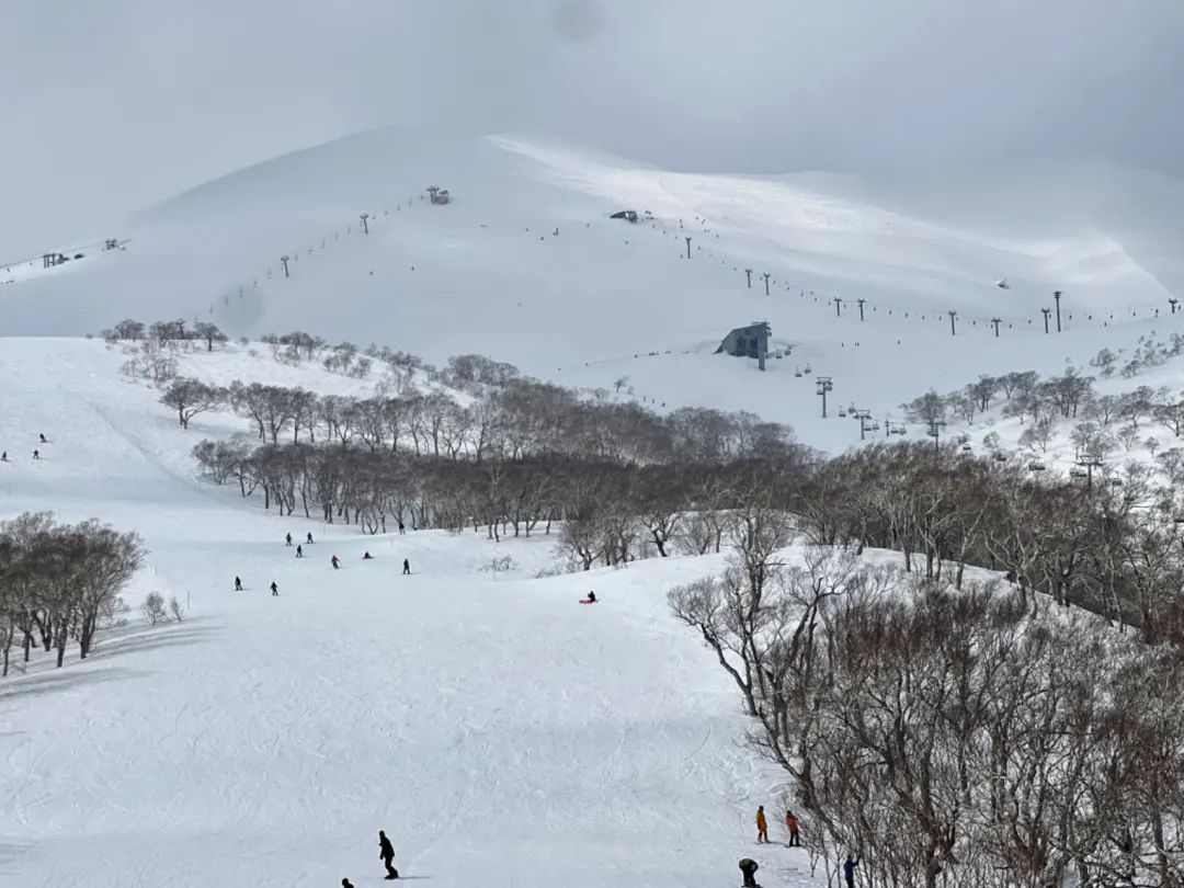 《滑雪+泡温泉+美食全不误 - 二世谷柏悦酒店（Park Hyatt Niseko Hanazono）入住体验》