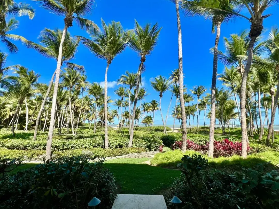 万豪全新升级券比之前的套房券强太多了,提前确认免费升级至100+平方米豪华海景套房 万豪全新升级券比之前的套房券强太多了,提前确认免费升级至100+平方米豪华海景套房