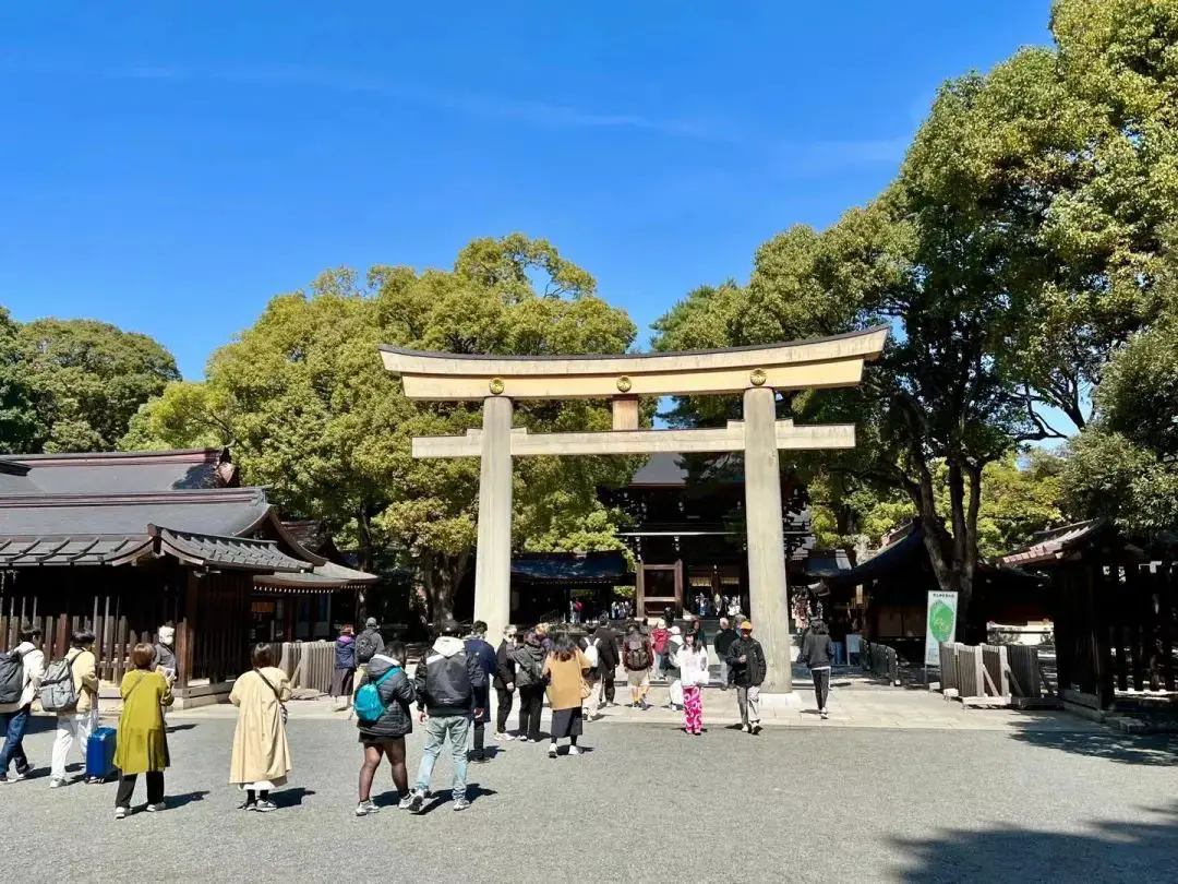 《免费早餐 + 直升行政套房 - 东京丽思卡尔顿酒店（The Ritz-Carlton, Tokyo）入住体验》