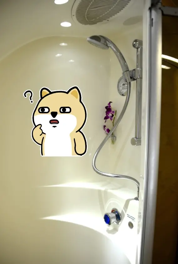 土豪航空殿堂级头等舱跨洋航班里程票大放票,坐一次吹一辈子的机会不要错过 土豪航空殿堂级头等舱跨洋航班里程票大放票,坐一次吹一辈子的机会不要错过