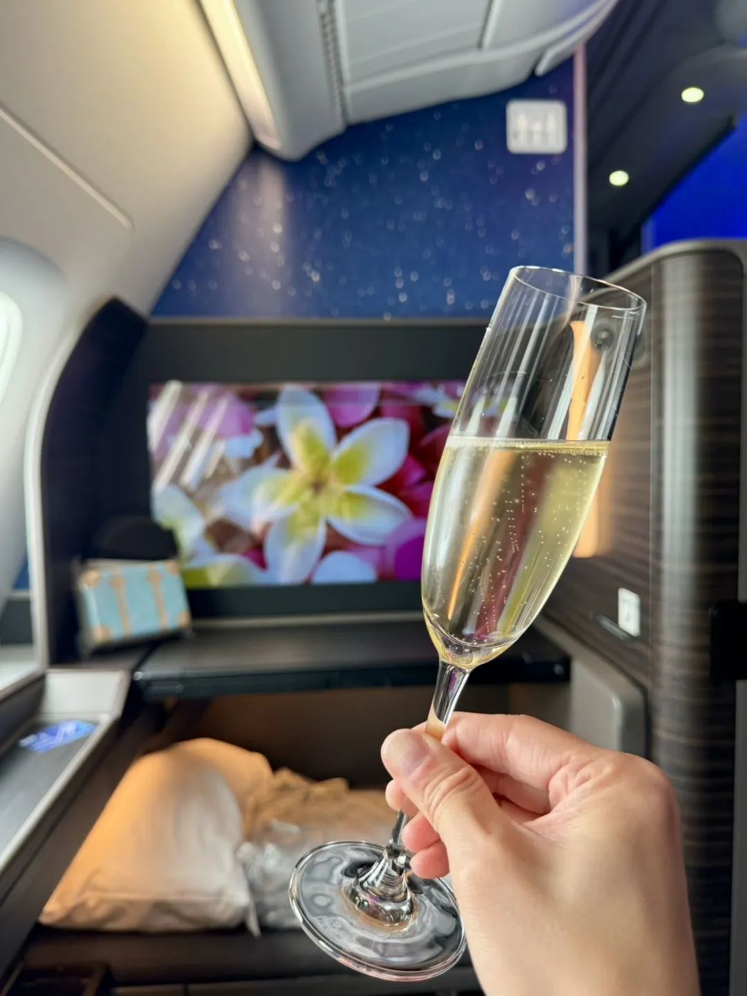 43K点数/600美元就可以拿下全日空头等舱(A380头等套房 + 旺季日期)独特体验原来这么便宜就可以拿下 43K点数/600美元就可以拿下全日空头等舱(A380头等套房 + 旺季日期)独特体验原来这么便宜就可以拿下