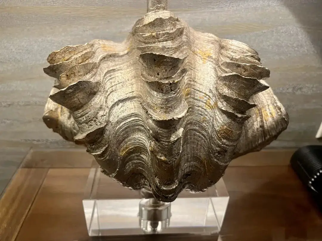 万豪40K免房券居然住到了水准不错的丽思卡尔顿，然而本来到手的套房没了……