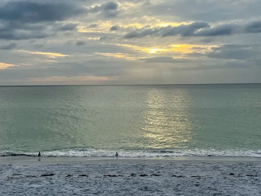 万豪40K免房券居然住到了水准不错的丽思卡尔顿，然而本来到手的套房没了……