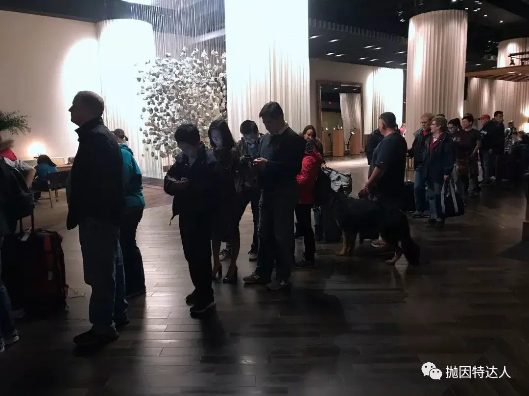 赌城酒店性价比首选 - Delano Las Vegas入住体验报告